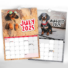 Load image into Gallery viewer, Frekke dachshunder - 2025 veggkalender