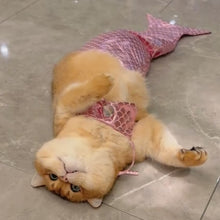 Load image into Gallery viewer, Funny Cat Mermaid Clothing