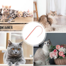 Load image into Gallery viewer, Silicone Simulate Tail Cat Wand