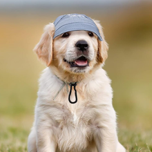 Load image into Gallery viewer, Outdoor Sun Protection Hood for Dogs