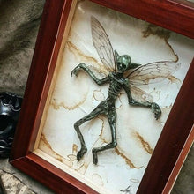 Load image into Gallery viewer, Mysterious Mummified Fairy in Frame