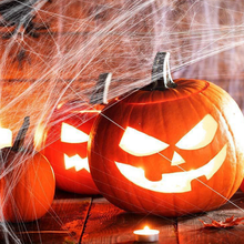 Load image into Gallery viewer, Halloween Spider Decorations Stretch Cobweb