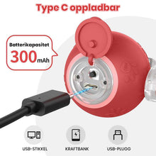 Load image into Gallery viewer, Interaktiv oppladbar ball katte- og hundeleke