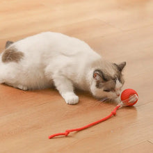 Load image into Gallery viewer, Innendørs katt interaktiv ball