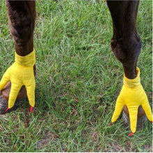 Load image into Gallery viewer, Funny Feet For Horse