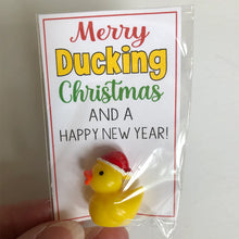 Load image into Gallery viewer, Cute Lucky Charm Gift