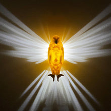 Load image into Gallery viewer, 3D Eagle/Owl LED Wall Sconce