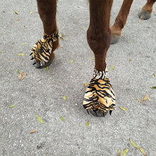 Load image into Gallery viewer, Funny Feet For Horse