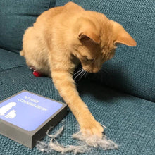 Load image into Gallery viewer, PET HAIR CLEANING BRUSH