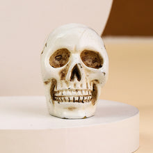 Load image into Gallery viewer, Halloween Skull Design Card Holder