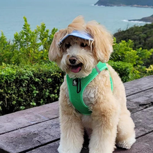 Load image into Gallery viewer, Outdoor Sun Protection Hood for Dogs