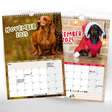 Load image into Gallery viewer, Frekke dachshunder - 2025 veggkalender