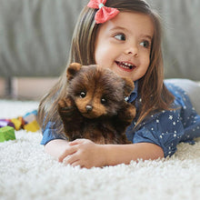 Load image into Gallery viewer, Purely Handmade Plush Baby Bear