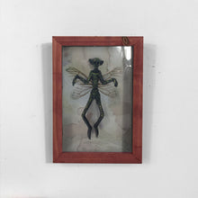 Load image into Gallery viewer, Mysterious Mummified Fairy in Frame