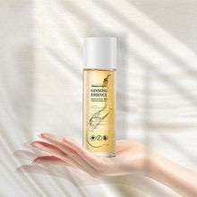 Load image into Gallery viewer, Wild Ginseng Anti-Aging Essence
