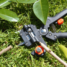 Load image into Gallery viewer, Professional Garden Grafting Tool Kit