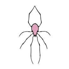 Load image into Gallery viewer, Spider Stained Glass Suncatcher