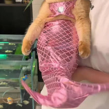 Load image into Gallery viewer, Funny Cat Mermaid Clothing