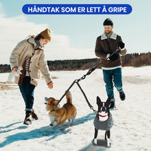 Load image into Gallery viewer, Dobbel hund uten flokebånd