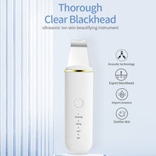 Load image into Gallery viewer, Ultrasonic Ionized Skin Beautifier