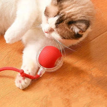 Load image into Gallery viewer, Innendørs katt interaktiv ball