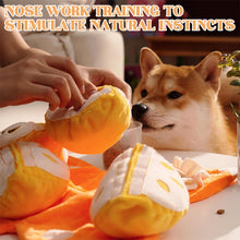 Load image into Gallery viewer, Orange Hide-and-Seek Plush Dog Toy