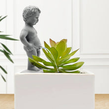 Load image into Gallery viewer, Pee My Plants Garden Sculpture