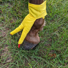 Load image into Gallery viewer, Funny Feet For Horse