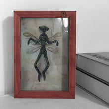 Load image into Gallery viewer, Mysterious Mummified Fairy in Frame