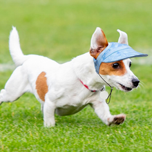 Load image into Gallery viewer, Outdoor Sun Protection Hood for Dogs