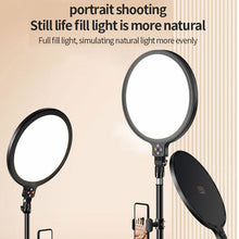 Load image into Gallery viewer, Soft Light Beauty Ring Light for Makeup