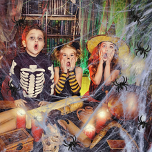 Load image into Gallery viewer, Halloween Spider Decorations Stretch Cobweb