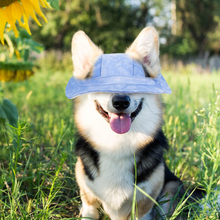 Load image into Gallery viewer, Outdoor Sun Protection Hood for Dogs