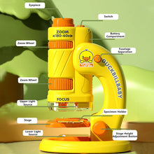 Load image into Gallery viewer, Kids' Portable Microscope