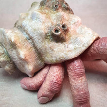 Load image into Gallery viewer, Finger Parasite Crab Resin Sculpture
