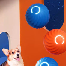 Load image into Gallery viewer, Automatic smart teasing dog ball that can't be bitten