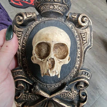 Load image into Gallery viewer, Hanging Skull Plaque