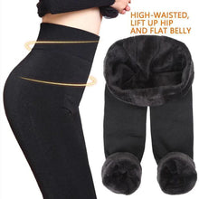 Load image into Gallery viewer, Hirundo Winter Warming Leggings