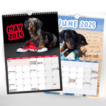 Load image into Gallery viewer, Frekke dachshunder - 2025 veggkalender