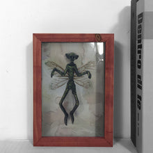 Load image into Gallery viewer, Mysterious Mummified Fairy in Frame