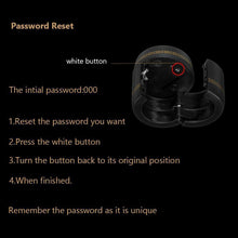 Load image into Gallery viewer, Hirundo Wine Bottle Combination Lock