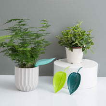 Load image into Gallery viewer, Funny Watering Leaves (6pcs)