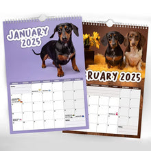 Load image into Gallery viewer, Frekke dachshunder - 2025 veggkalender
