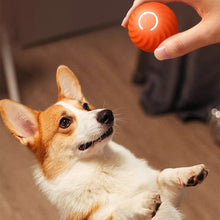 Load image into Gallery viewer, Automatic smart teasing dog ball that can't be bitten