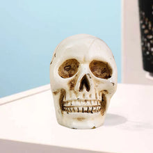 Load image into Gallery viewer, Halloween Skull Design Card Holder