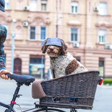 Load image into Gallery viewer, Outdoor Sun Protection Hood for Dogs