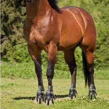 Load image into Gallery viewer, Funny Feet For Horse