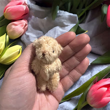 Load image into Gallery viewer, Children’s Worry Bear Gift