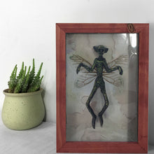 Load image into Gallery viewer, Mysterious Mummified Fairy in Frame