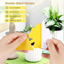 Load image into Gallery viewer, Sticky Trap, Fruit Fly Fungus Gnat